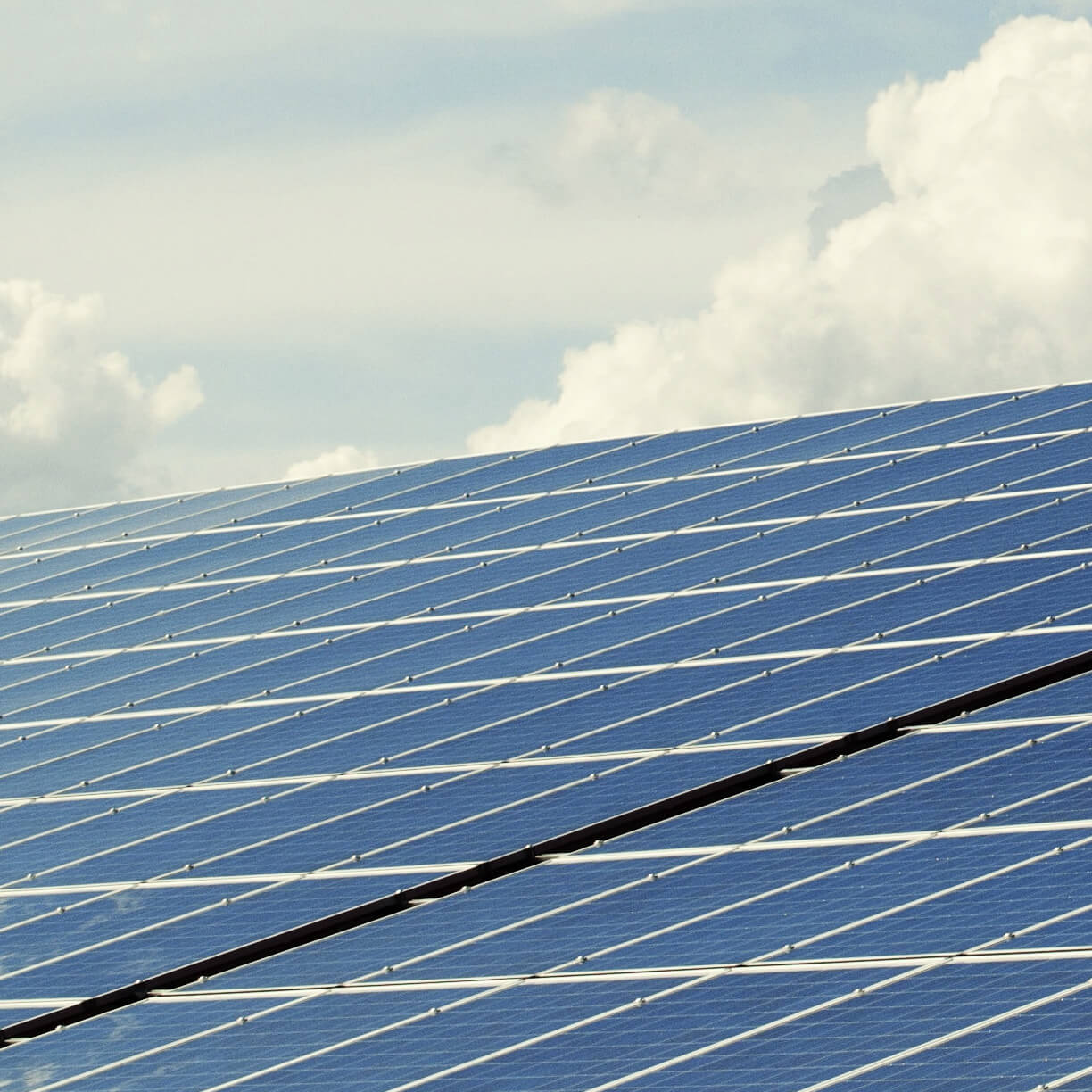 REWILD_SOLAR-1